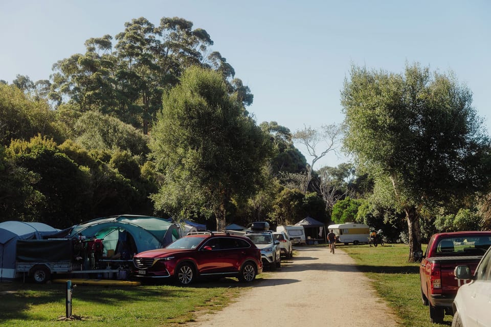 Park view