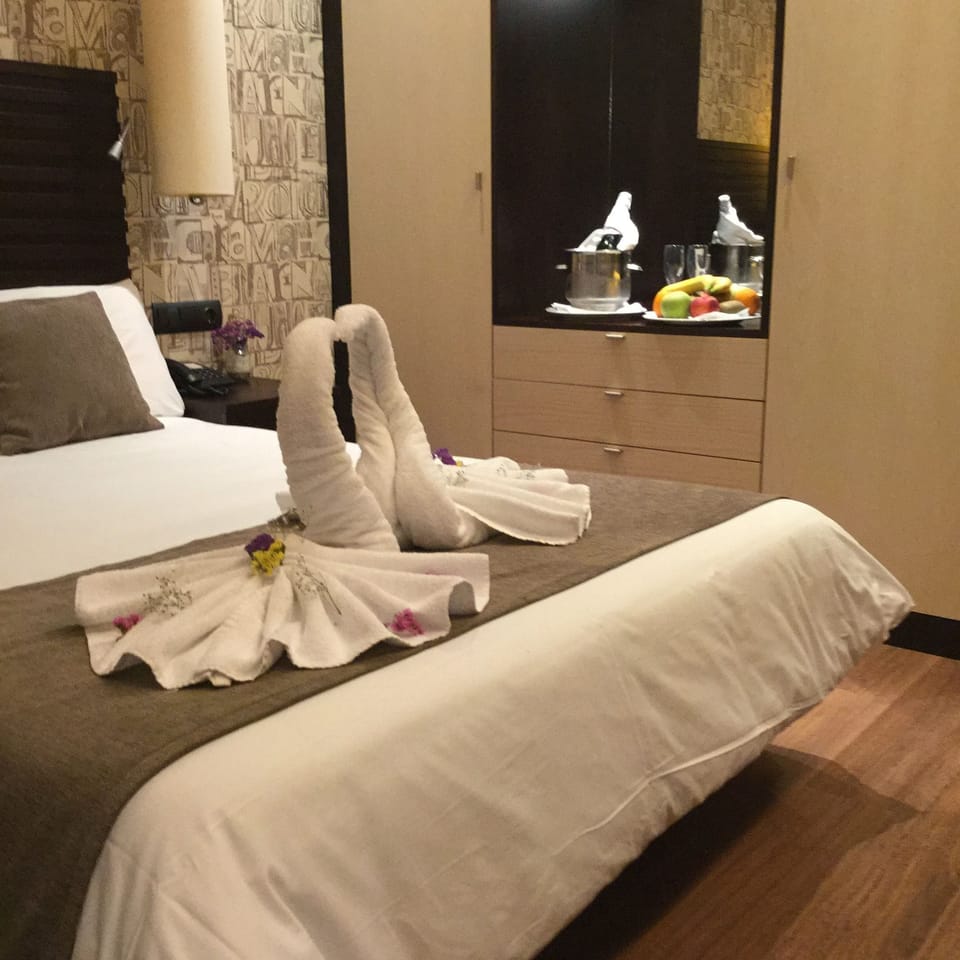 Desk, free cribs/infant beds, rollaway beds, free WiFi