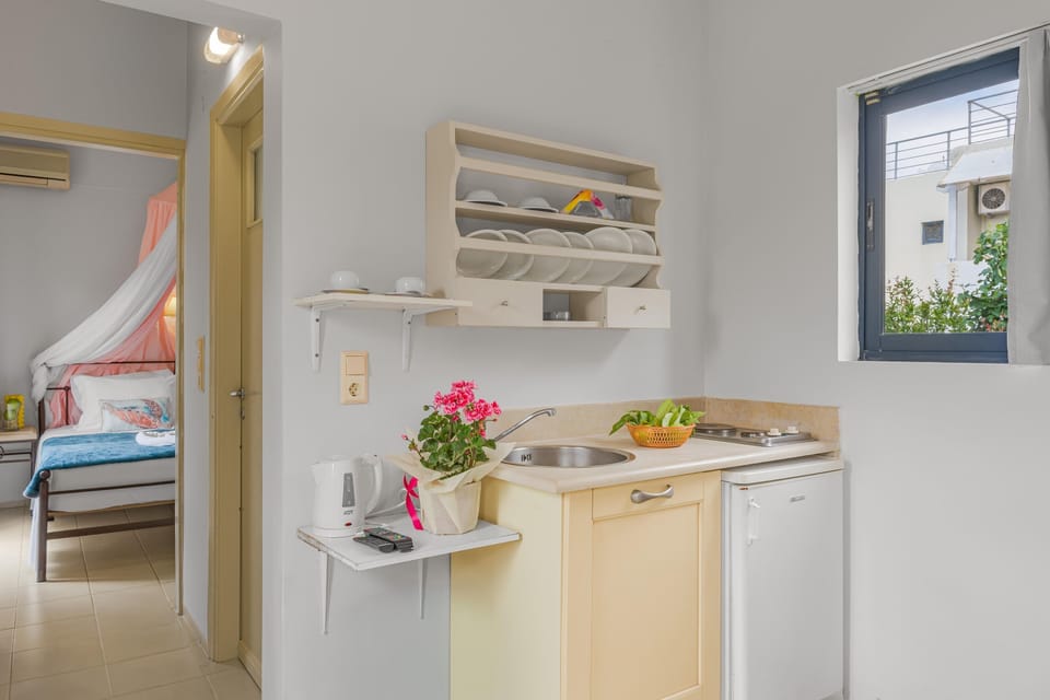 Superior Studio | Private kitchen | Coffee/tea maker, fridge, stovetop, cookware/dishes/utensils