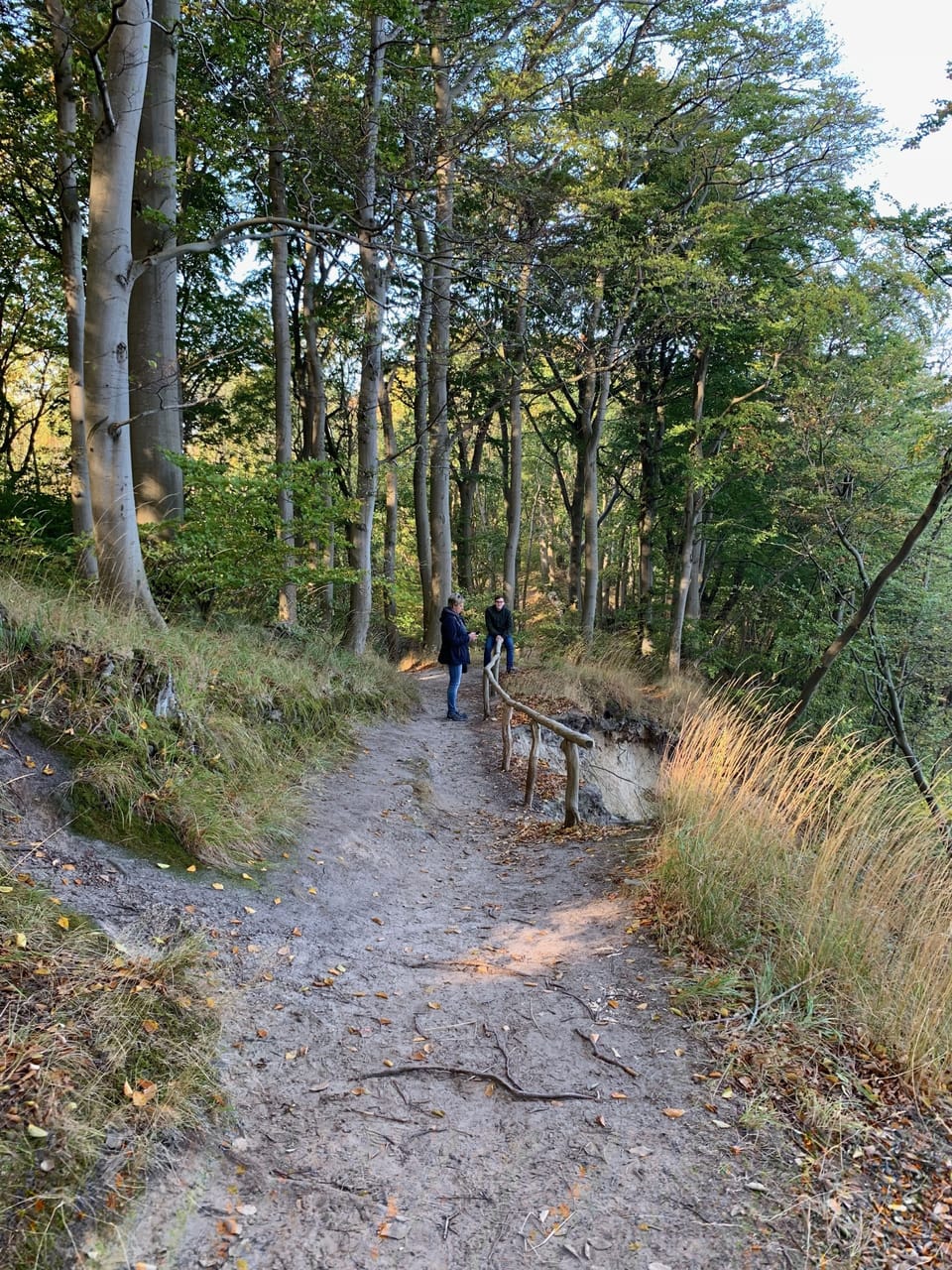 Hiking