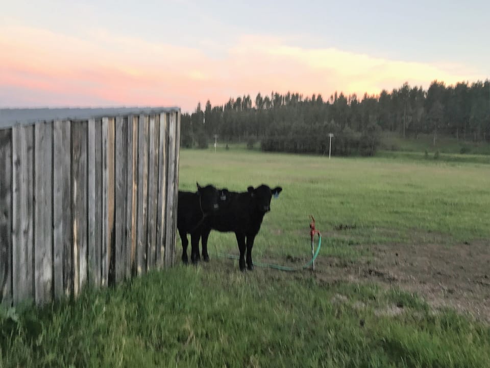hello there girls!