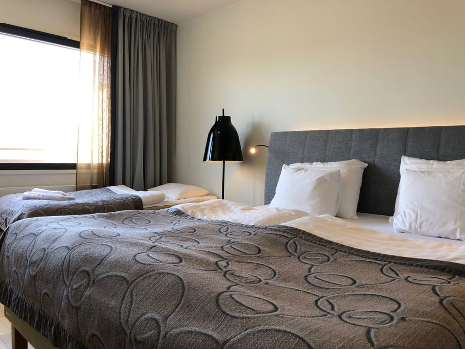 Standard Double or Twin Room, Annex Building (with Possibility of Extra Bed) | Desk, laptop workspace, blackout drapes, soundproofing