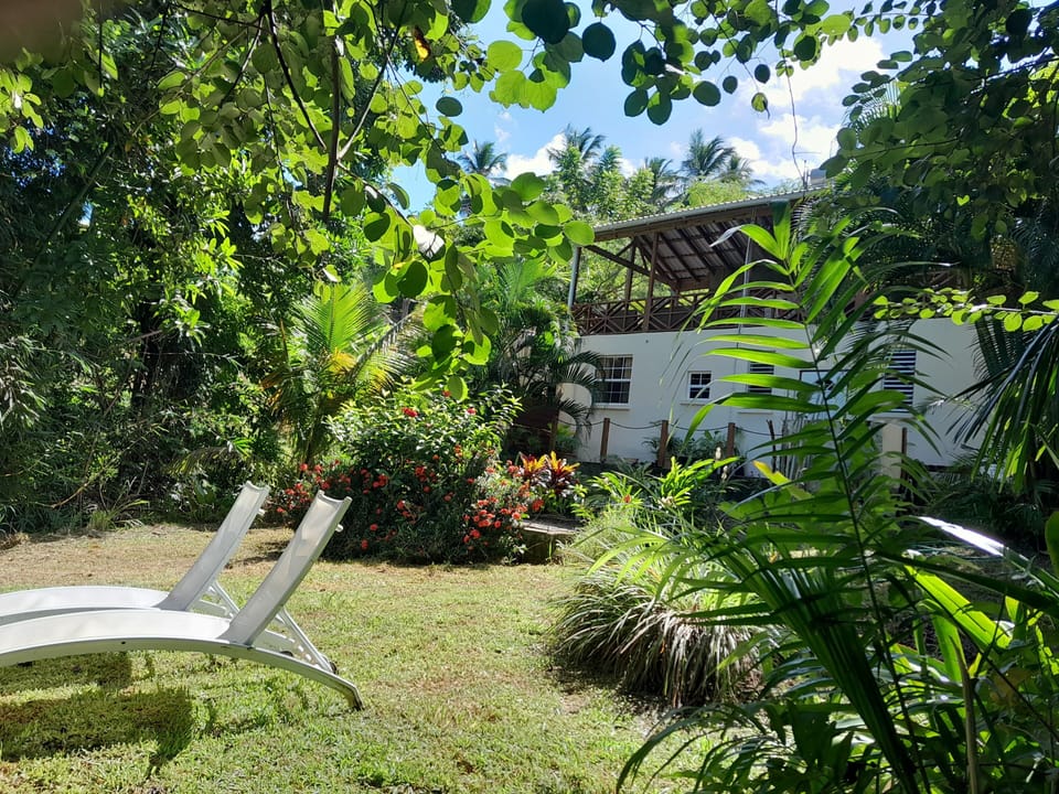 Garden looking
