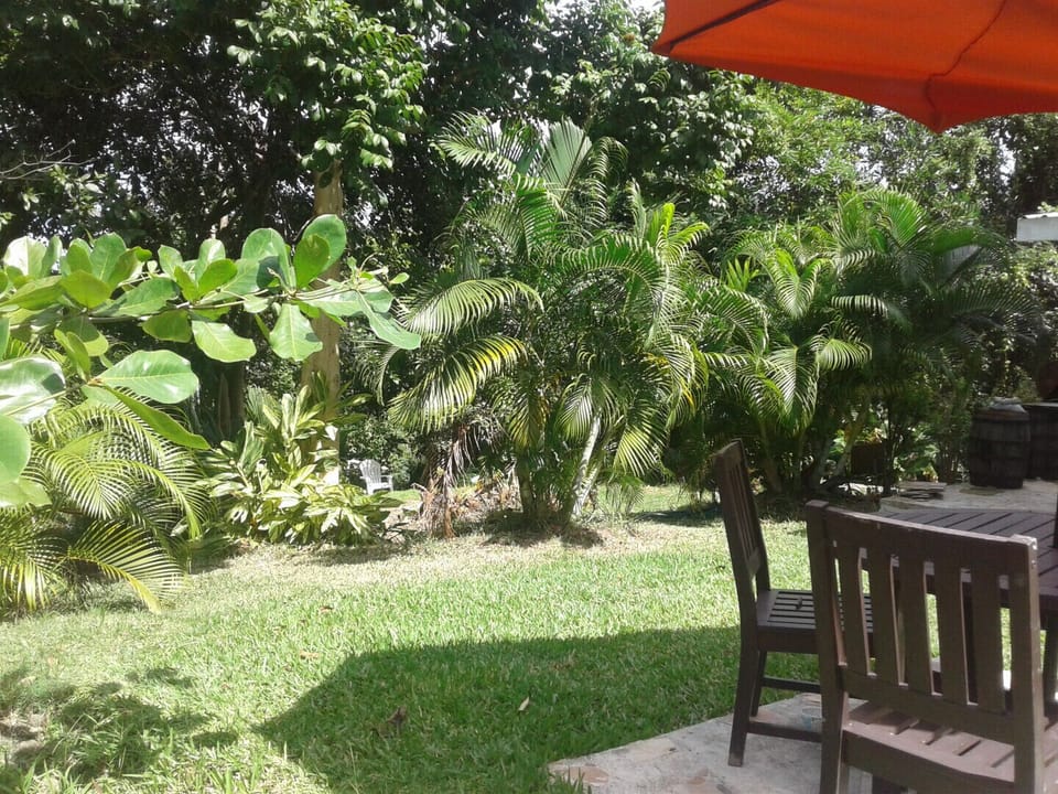 The greenery is refreshing and rejuvenating