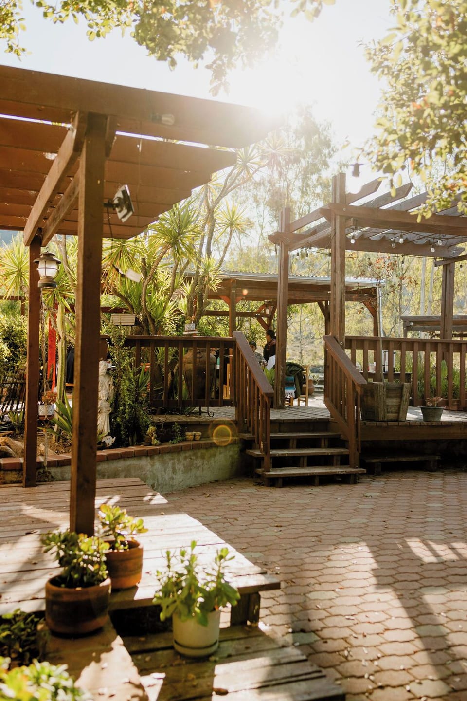 Casa Mayoral B&B Pet friendly Bed and Breakfast in State of Baja California