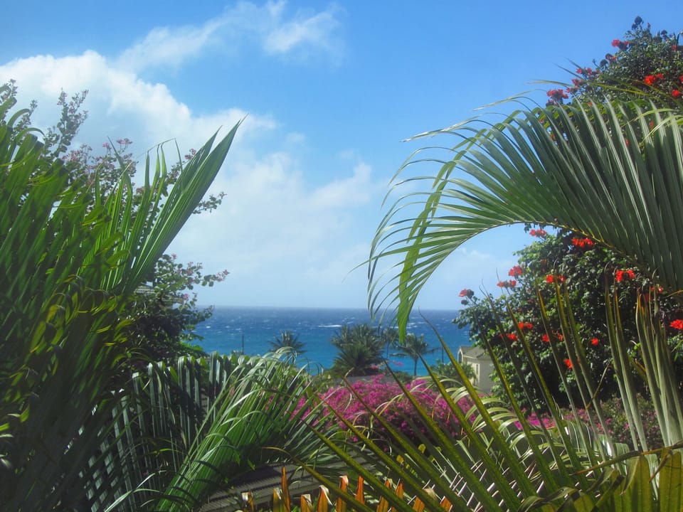 View of ocean from second master bedroom