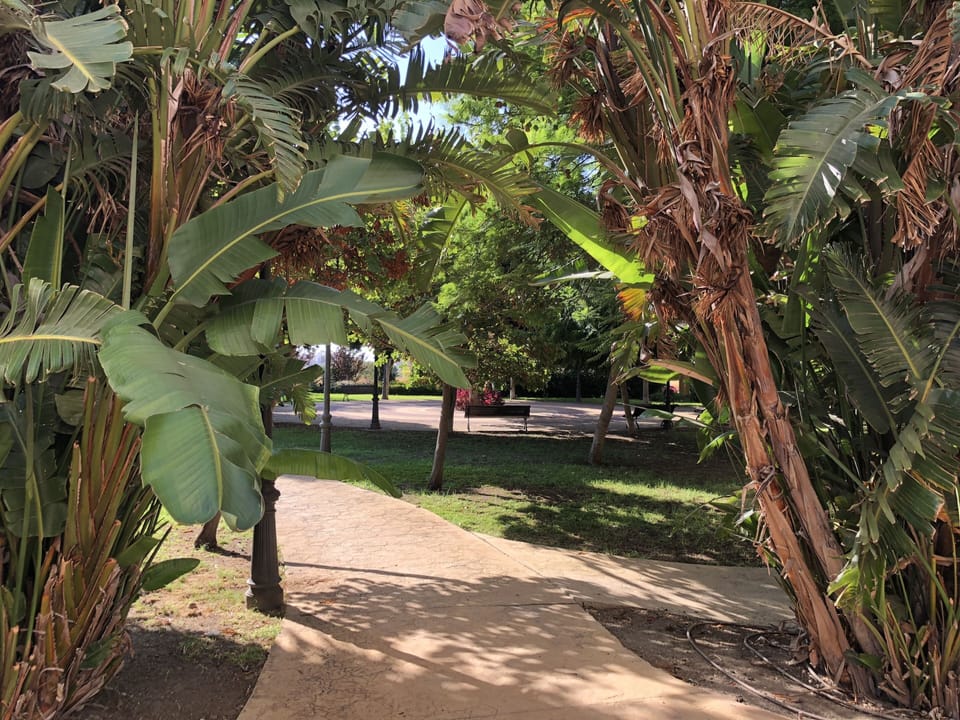 The nicely matured gardens