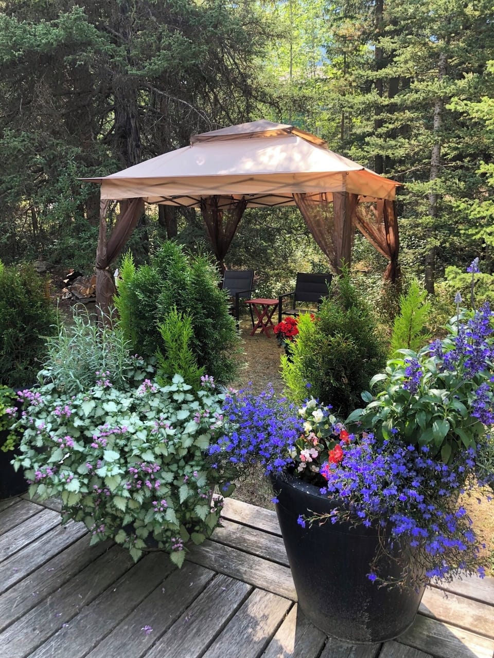 Gazebo off the deck