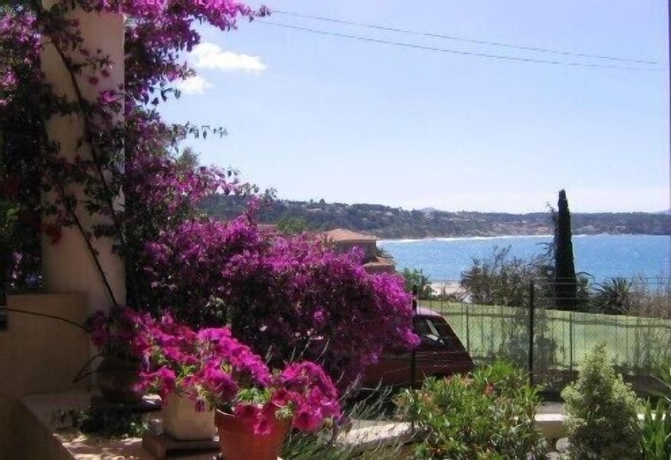 Eastward view from the terrace