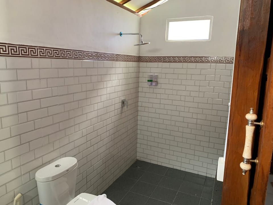 Shower, bidet, towels, soap