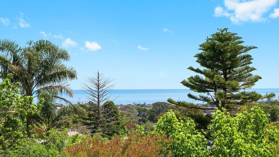 Local views 