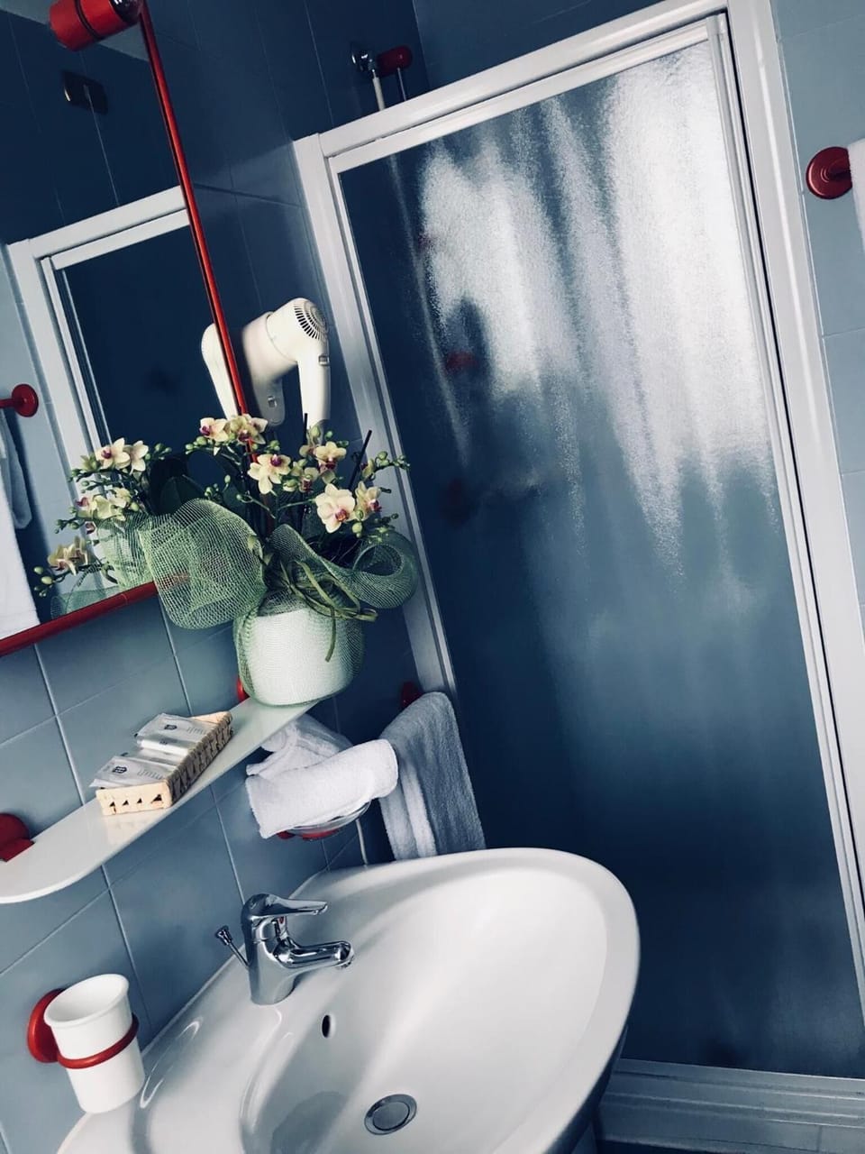 Shower, free toiletries, hair dryer, bidet