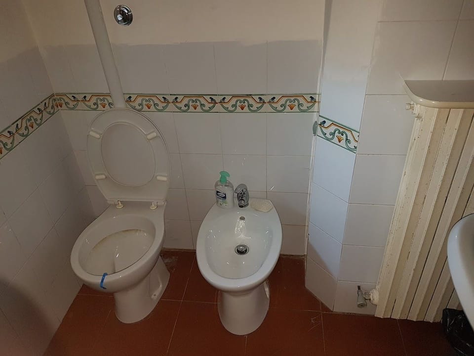 Hair dryer, bidet, towels