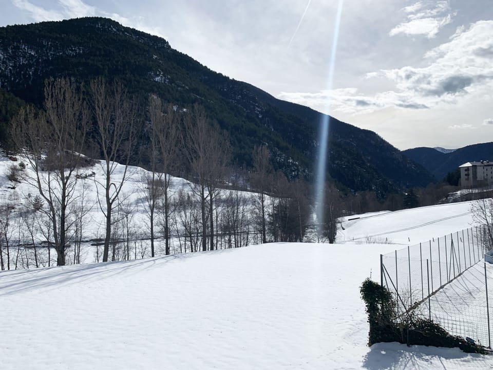 Skiing
