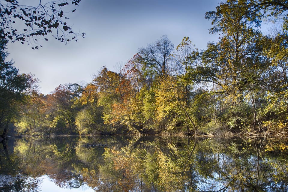 River view


Photo Credit: http://jenniferlinders.com/