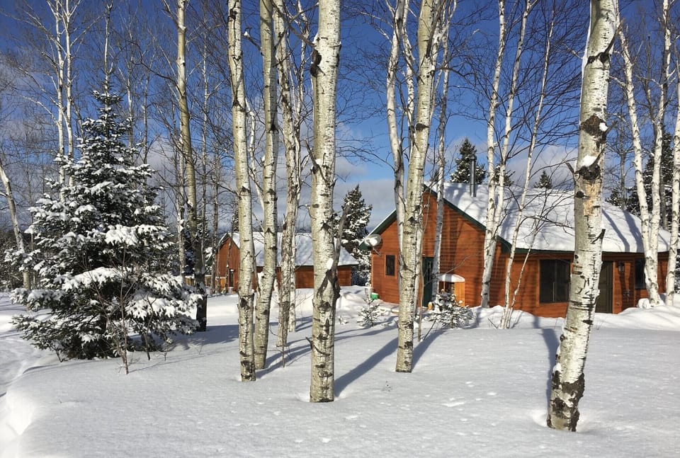 Walleye & Brook Trout Cabins