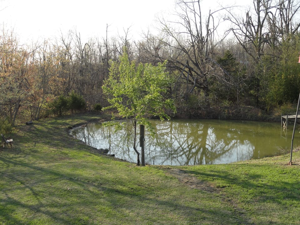 Pond in back yard. Stocked with fish for your fishing enjoyment!