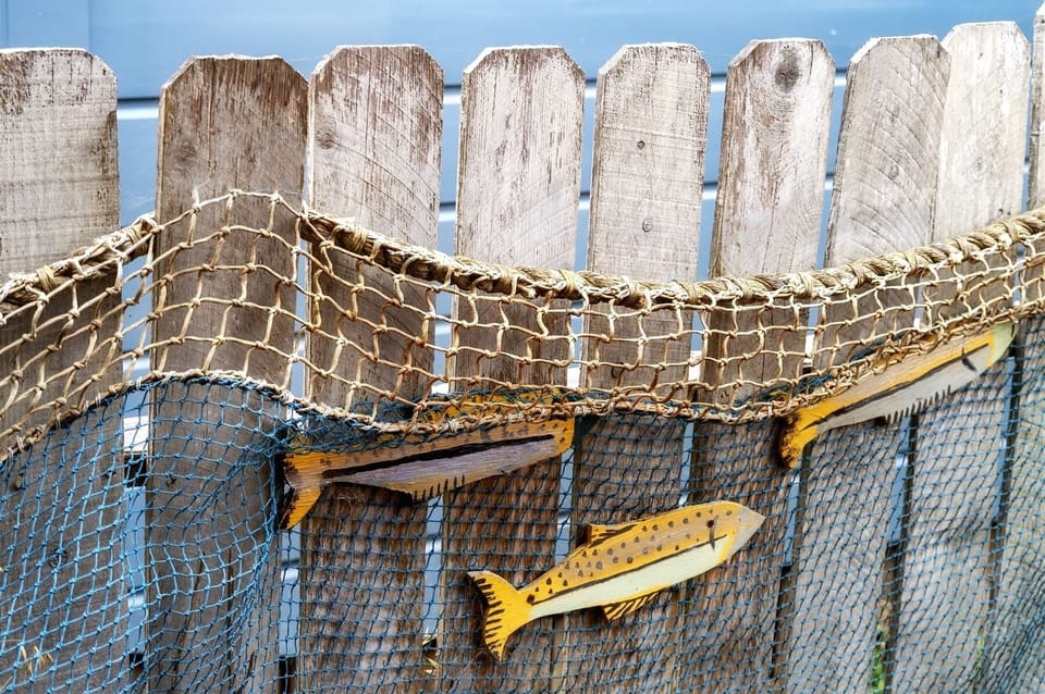 San Juan - Something fishy