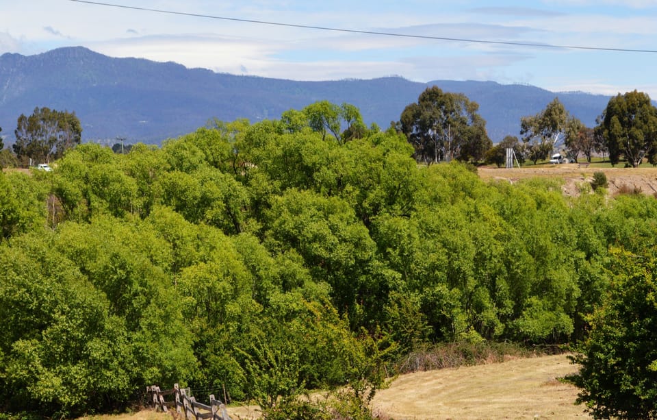 Luxury Cottage, 1 King Bed, Hill View | Mountain view