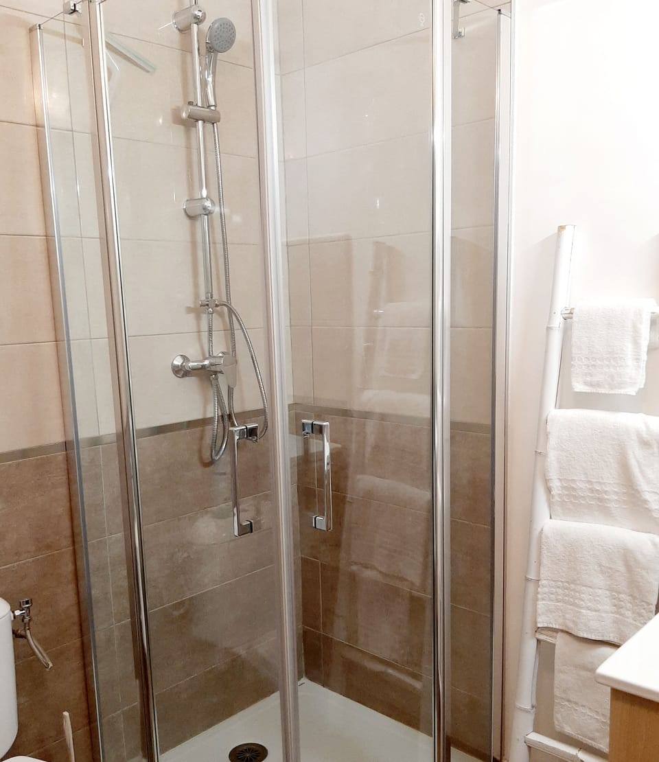 Double Room, 1 Double Bed, Non Smoking | Bathroom | Shower, free toiletries, hair dryer, towels
