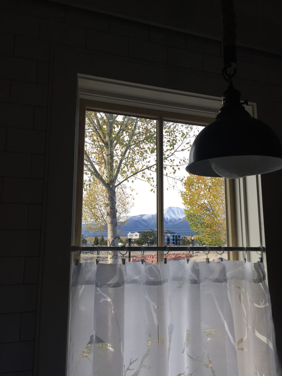 Mt. Princeton in the distance