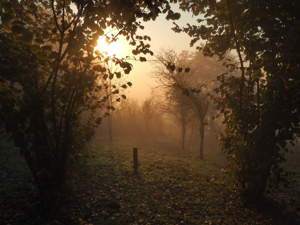 Exclusive Double Room, 1 Queen Bed (7) | View from room