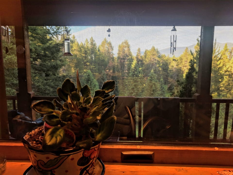 View from kitchen window