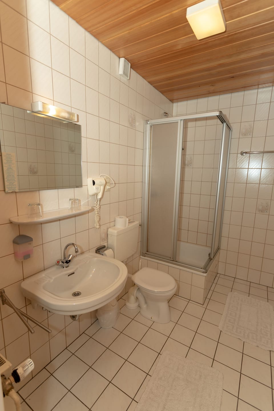 Double Room | Bathroom | Shower, hair dryer, towels, shampoo