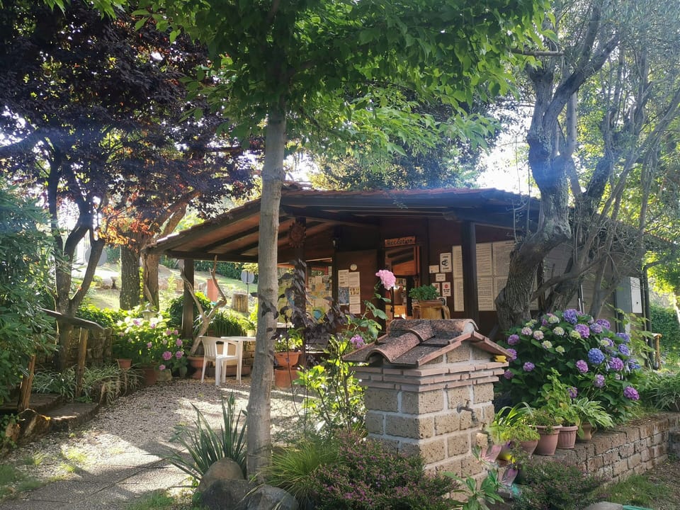 Check-in/check-out kiosk