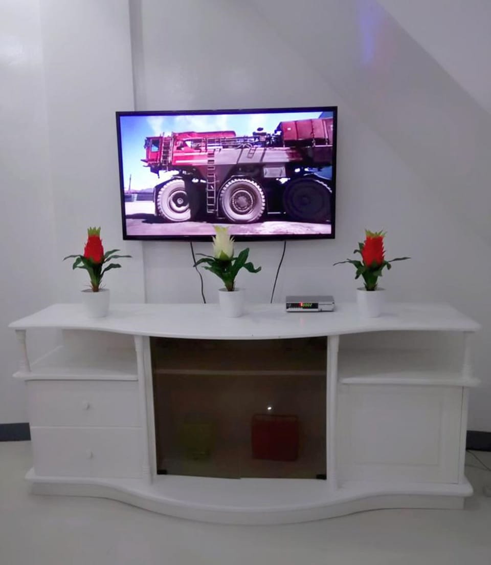 Television