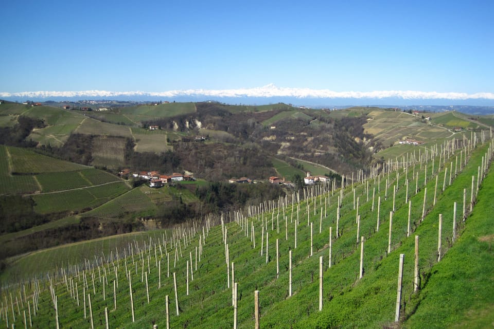 View from the house: the Alps
