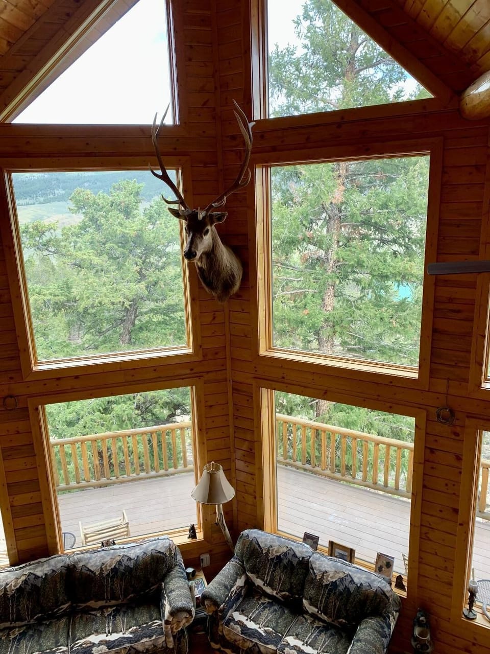View outdoors from the loft. 