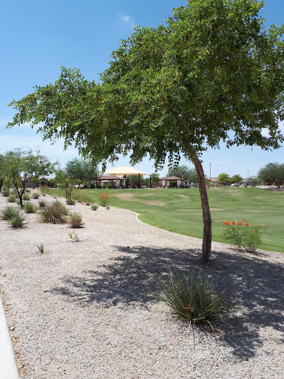 Park around the corner in the neighbourhood