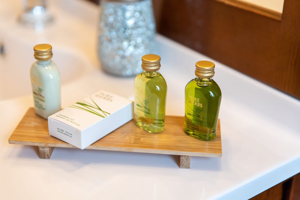 Deluxe Double Room | Bathroom amenities | Shower, rainfall showerhead, free toiletries, hair dryer
