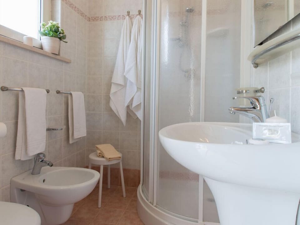 Shower, hair dryer, bidet, towels