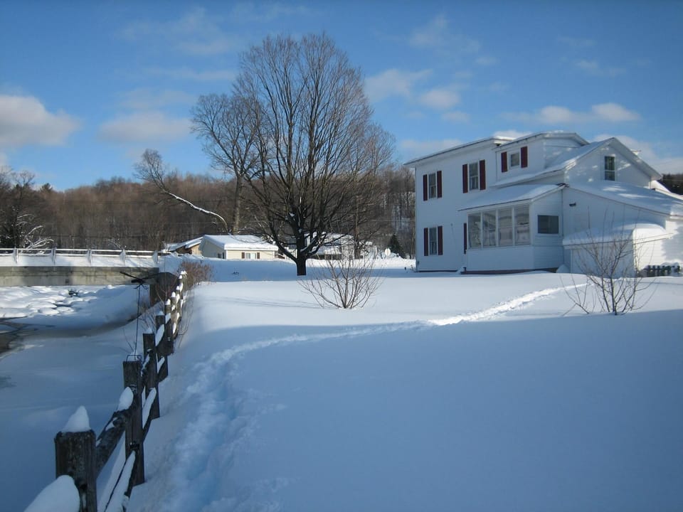View from the corner of the yard in back of the house, overlooking Trout River