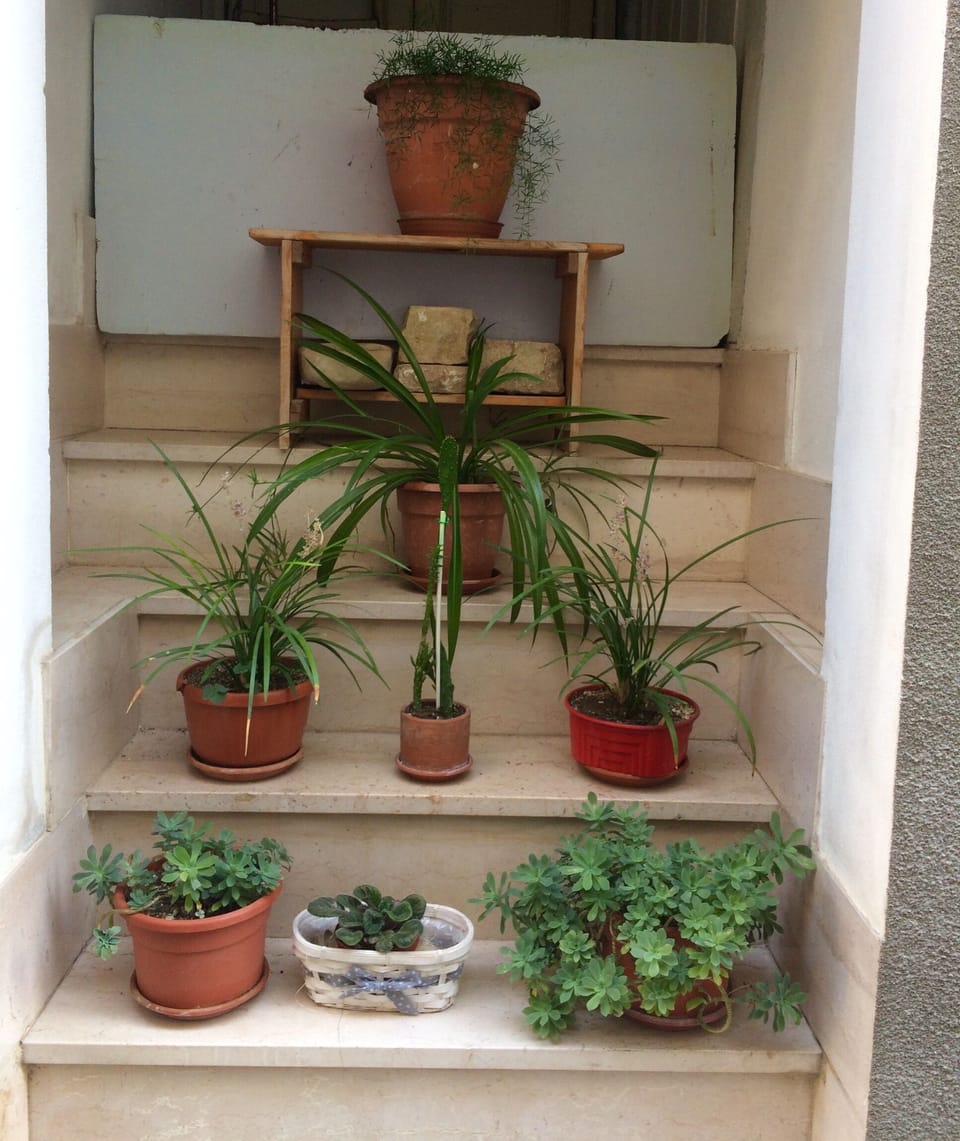 One of our neatly kept doorways 