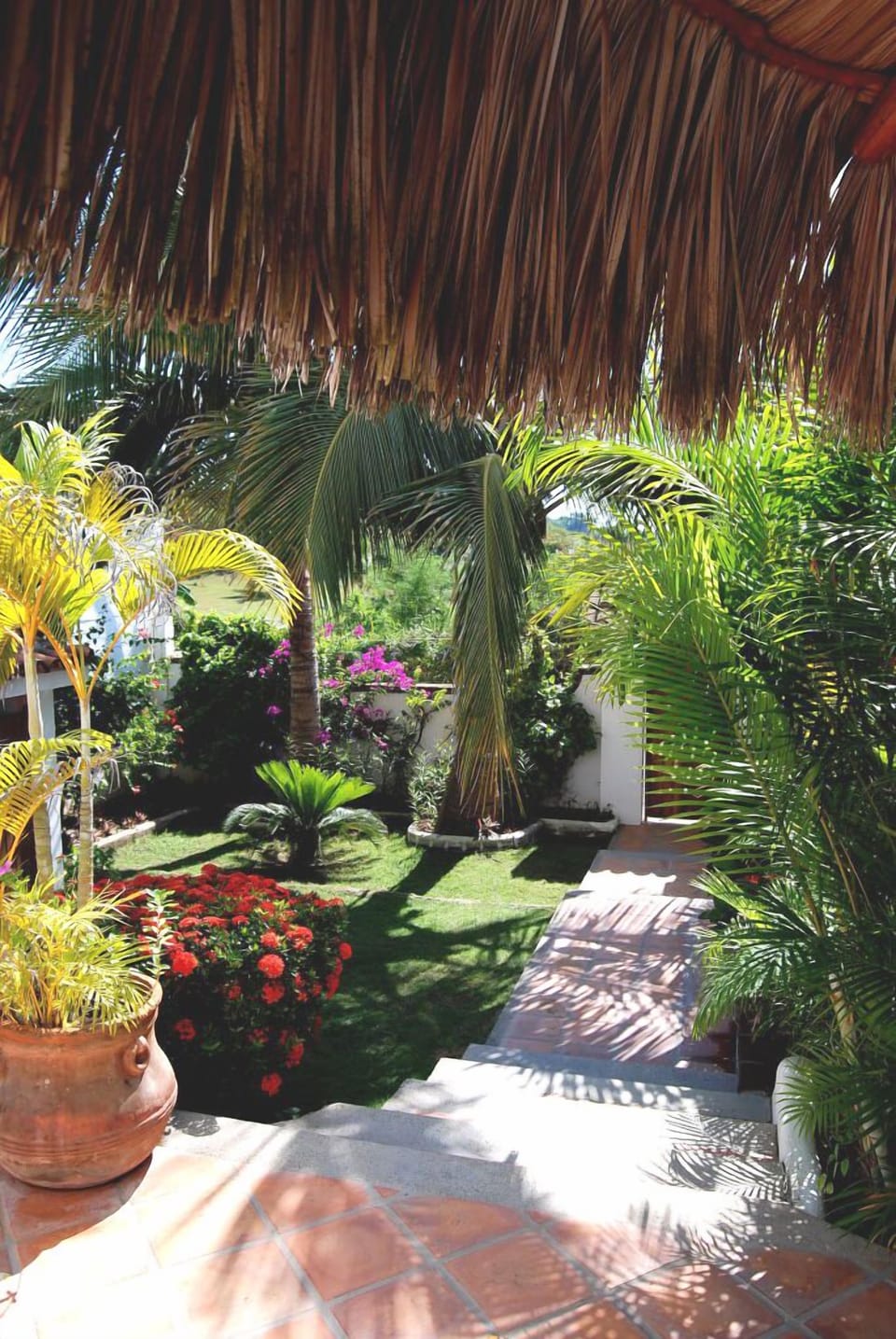front garden
