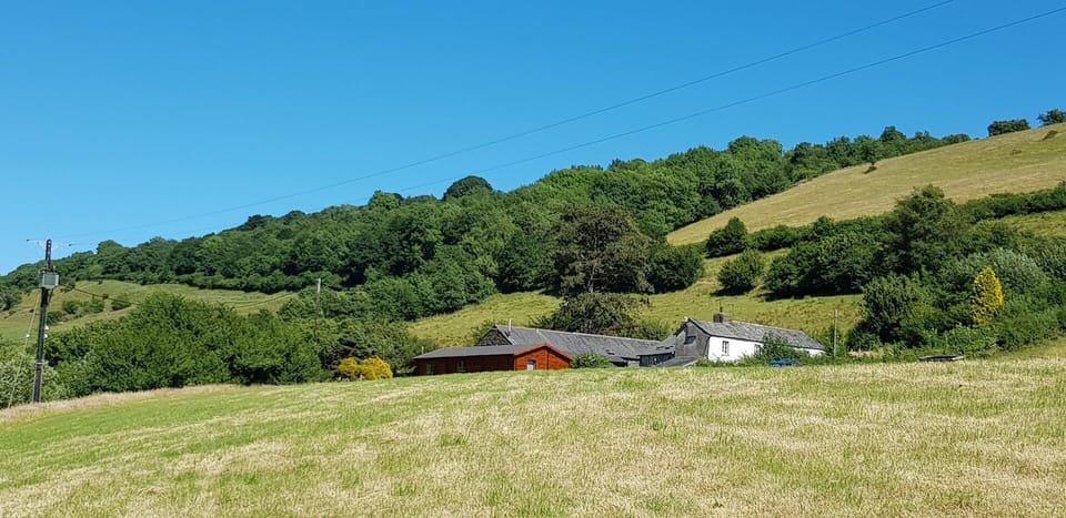 Summer Day Log Cabin 