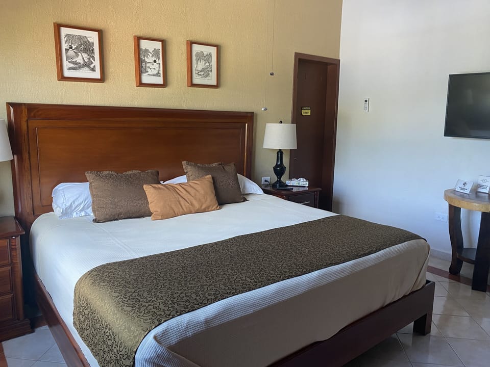 Superior Room, 1 King Bed, Non Smoking | Individually decorated, individually furnished, blackout drapes