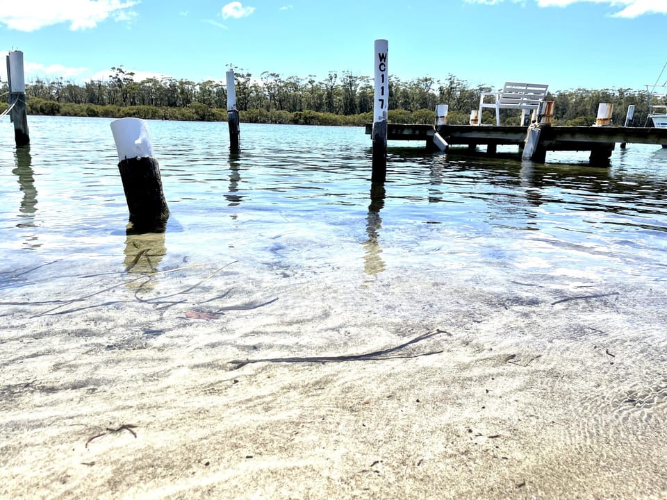 Sandy beach. Great swimming right out the front. 