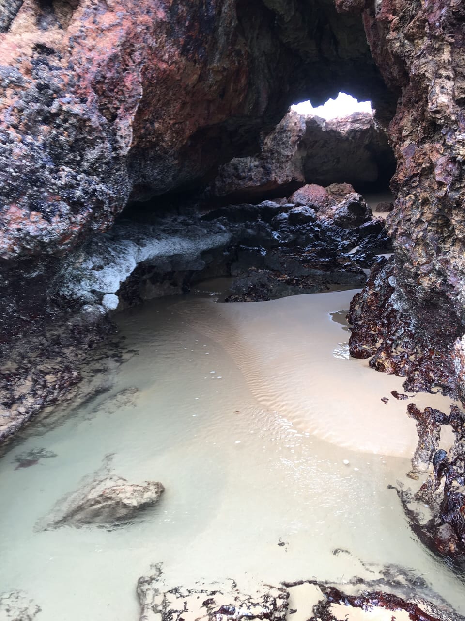 Forest Caves, which can olnly been seen at low tide.
