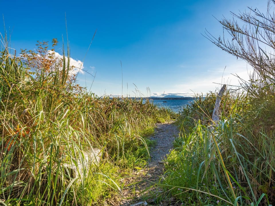 Path to the beach
