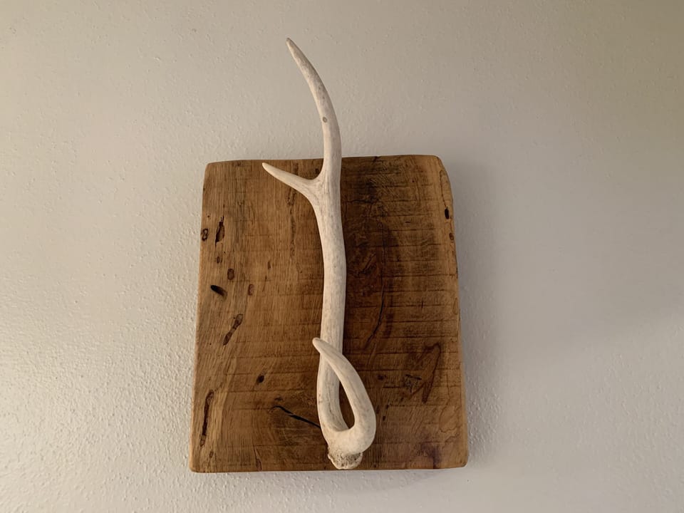 primary bathroom hook