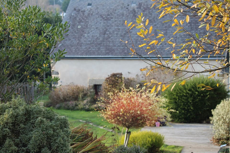 Gouelet-Ker, la jardin derrière  le gîte ou chambre d'hôtes