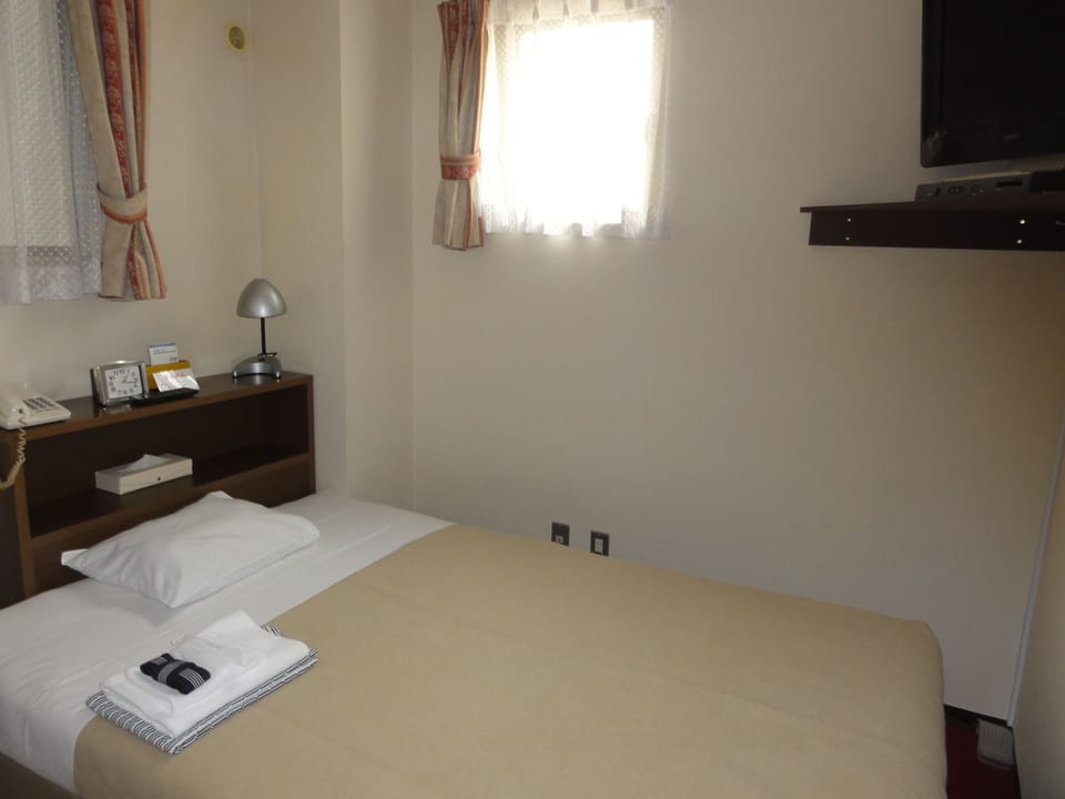 Business Single Room | In-room safe, desk, blackout drapes, soundproofing
