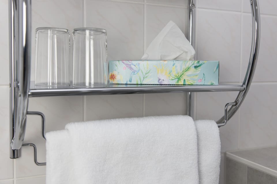 Standard Twin Room, Private Bathroom | Bathroom | Deep soaking tub, free toiletries, hair dryer, towels