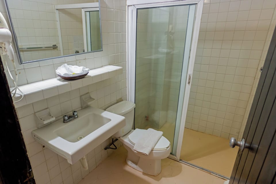 Suite | Bathroom | Shower, free toiletries, towels