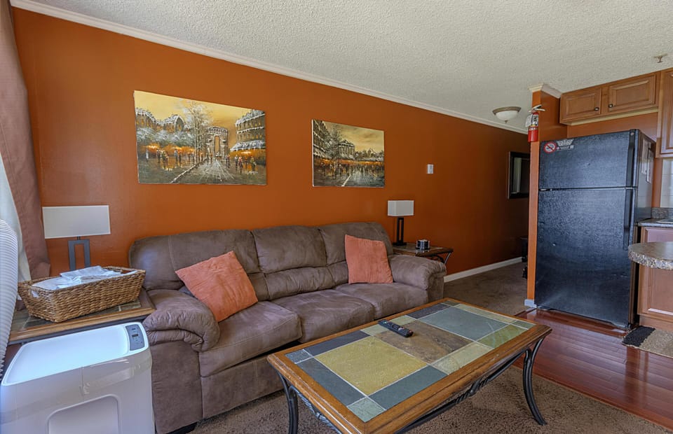 The living room sleeper sofa accommodates two people.