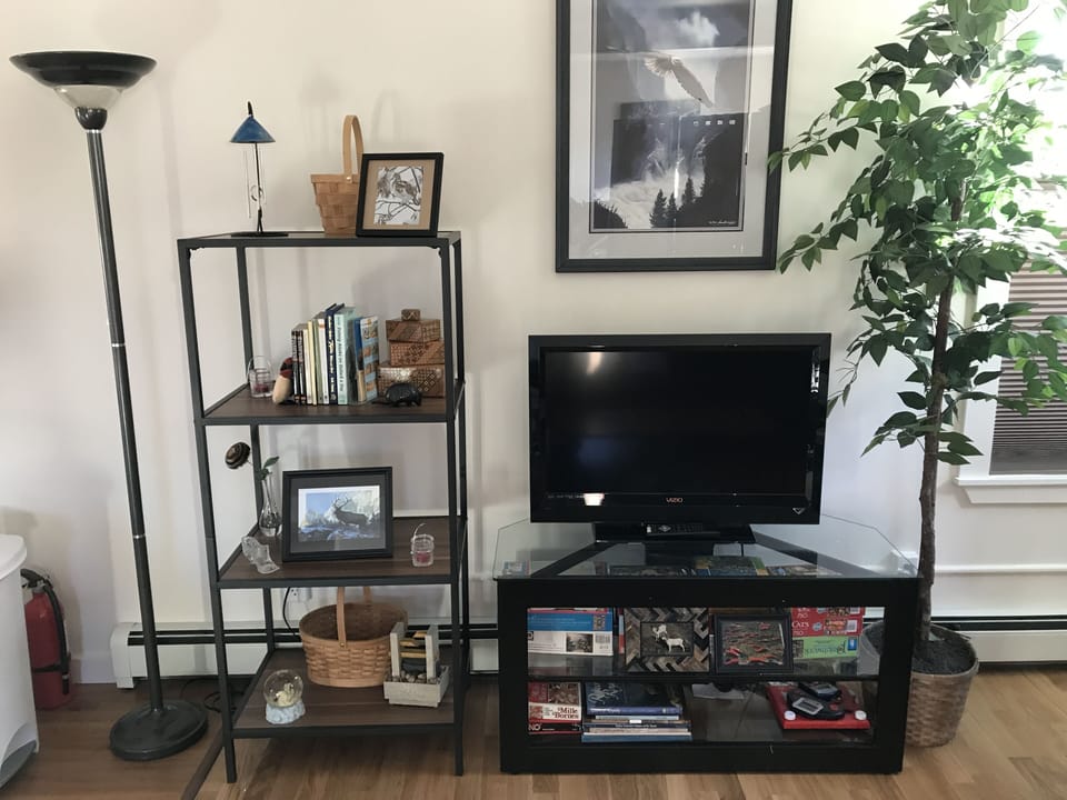 Living room bookcase, TV and stand with games and puzzles.